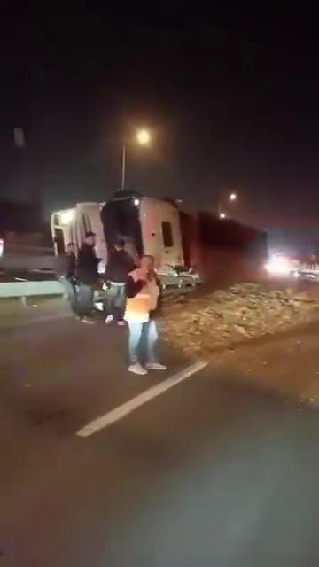 Virajı alamayan yonga yüklü tır devrildi