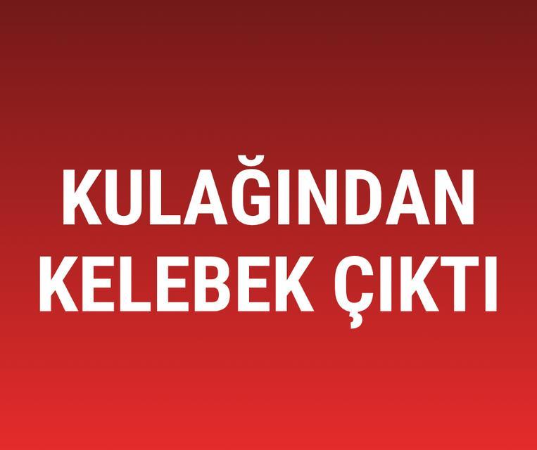 Kulağından kelebek çıktı