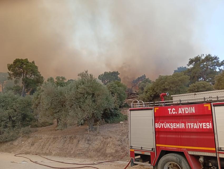 Aydın'da itfaiye erleri alevlerin arasında kalan kaplumbağayı böyle kurtardı
