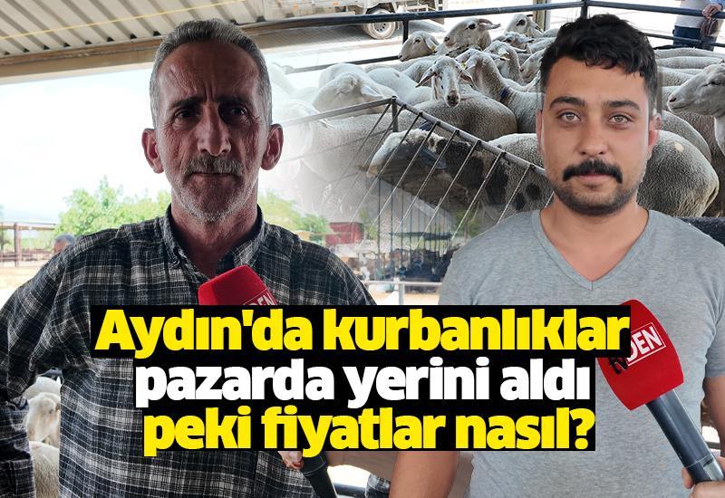 Aydın'da kurbanlıklar pazarda yerini aldı peki fiyatlar nasıl?