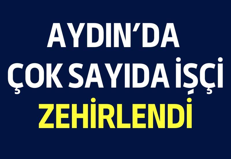 Söke Organize Sanayi Bölgesi’nde fabrika işçileri zehirlendi