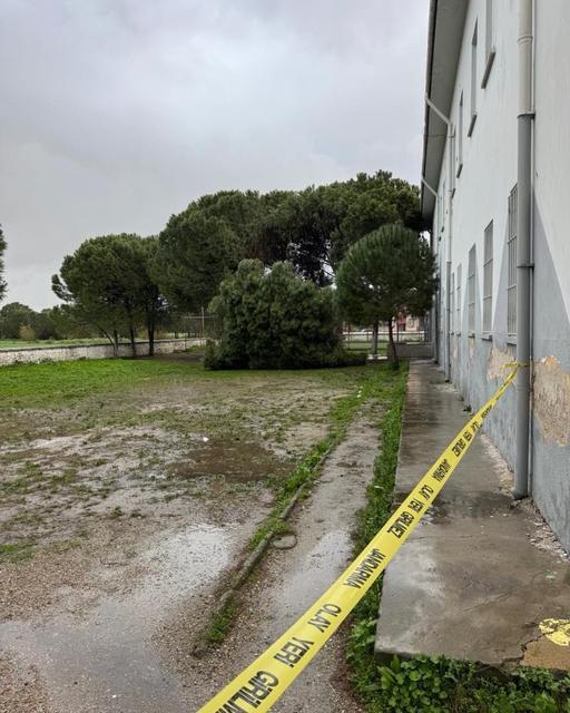 Aydın’da 50 yıllık çam ağaçları fırtınaya yenildi