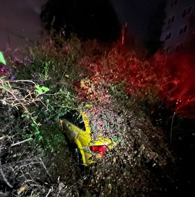 Sürücüsünün içinde olduğu otomobilin üzerine ağaç devrildi