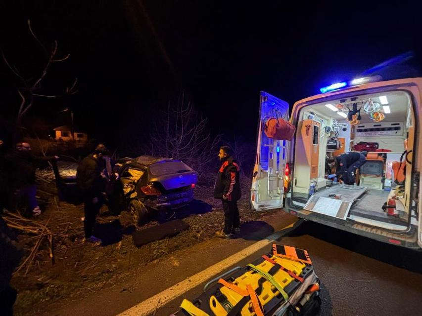 Kontrolden çıkan otomobil tarlaya girdi