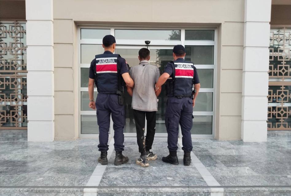 Üretici ile birlikte onlarda mesaiye başladı! İncir çalan şüpheli yakalandı