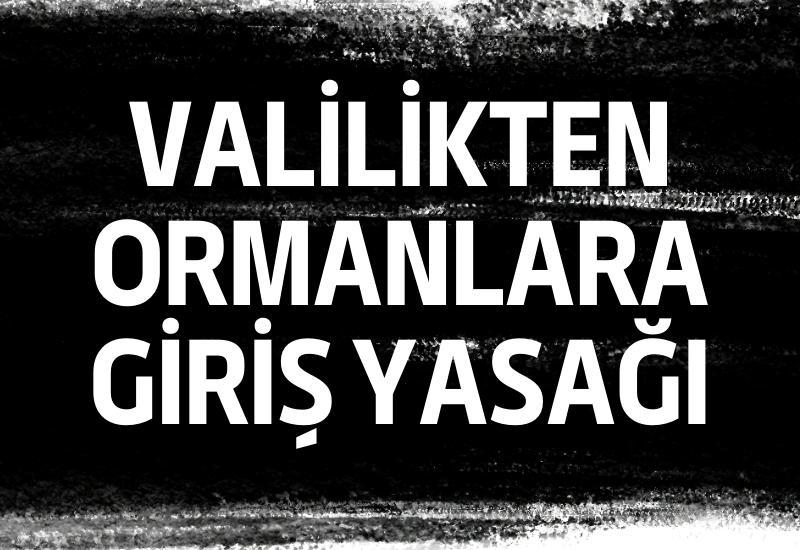 Valilikten ormanlara giriş yasağı