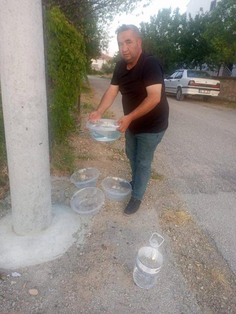 Mahalle muhtarından sokak hayvanlarına yönelik örnek çalışma