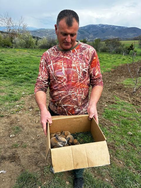 ANNELİK İÇGÜDÜSÜ SINIR TANIMADI: KANGAL KÖPEĞİ ŞİMDİ DE TAVŞANLARA BAKIYOR