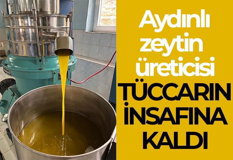 Aydınlı zeytin üreticisi tüccarın insafına kaldı