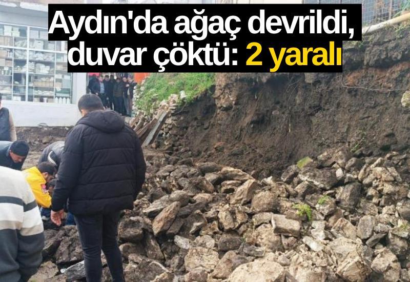 Aydın'da ağaç devrildi, duvar çöktü: 2 yaralı