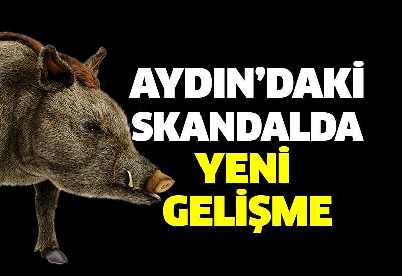 Aydın’daki domuz eti skandalında yeni gelişme