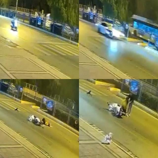 Motosiklet kazasında köpeğin sadakati duygulandırdı