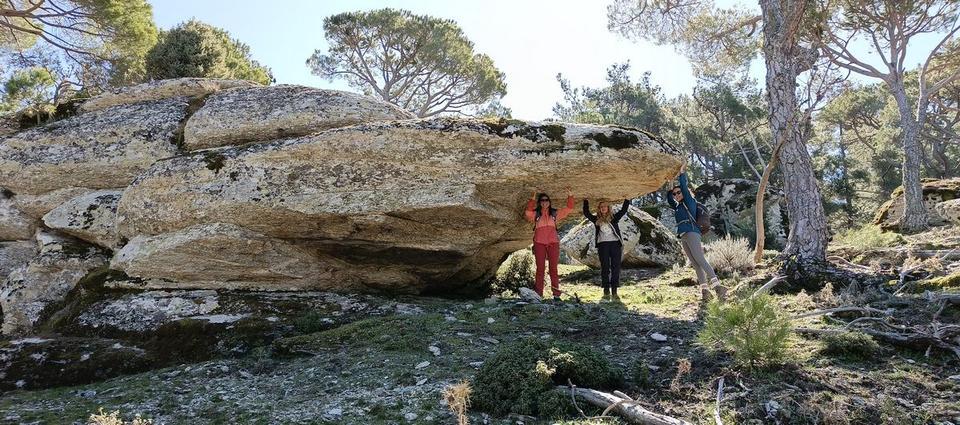 �������������������������������