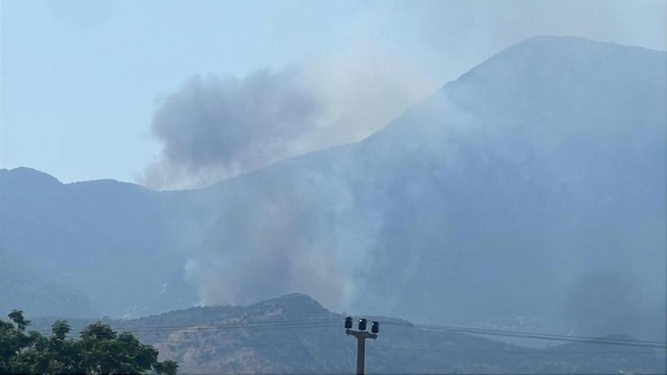 Makilik alanda çıkan yangın ormana sıçradı