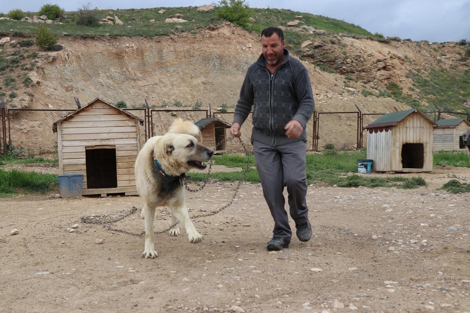 DEĞİŞKEN HAVALAR ANADOLU ASLANLARINI DEPRESYONA SOKTU