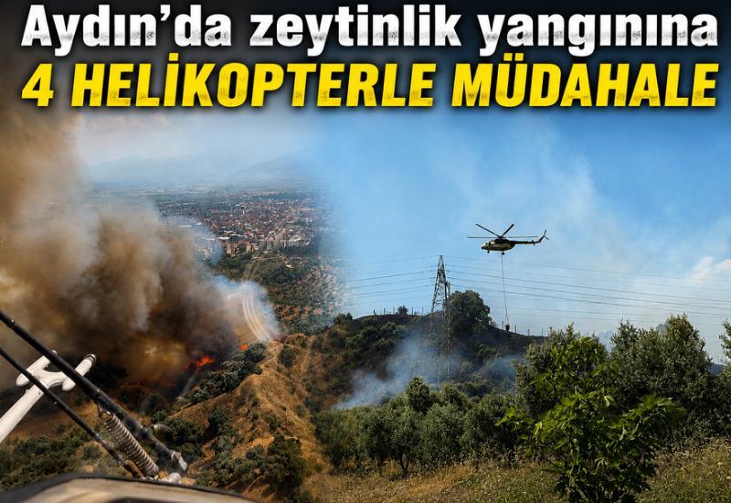 Aydın'da zeytinlik yangınına 4 helikopterle müdahale