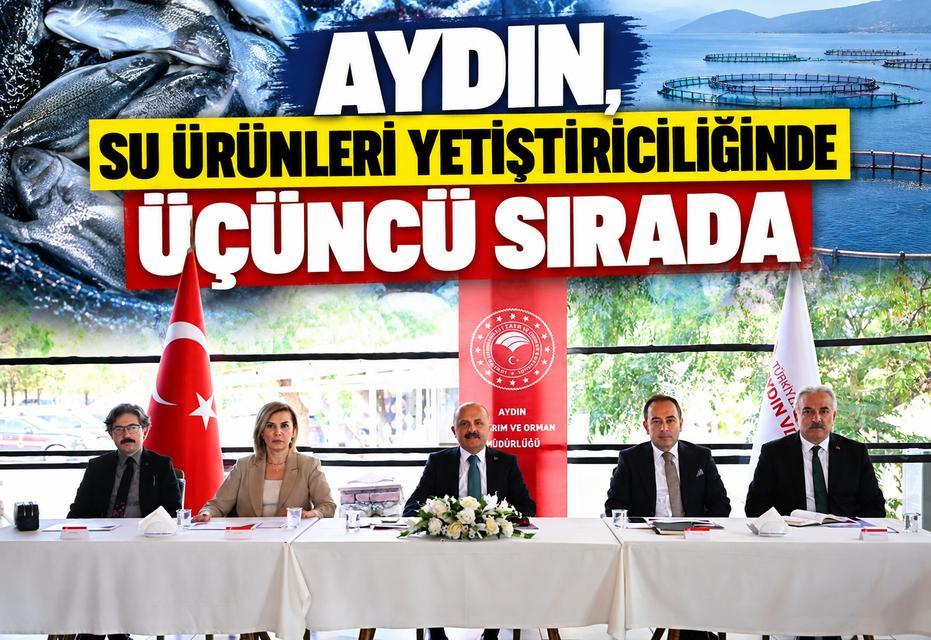 Aydın, su ürünleri yetiştiriciliğinde üçüncü sırada
