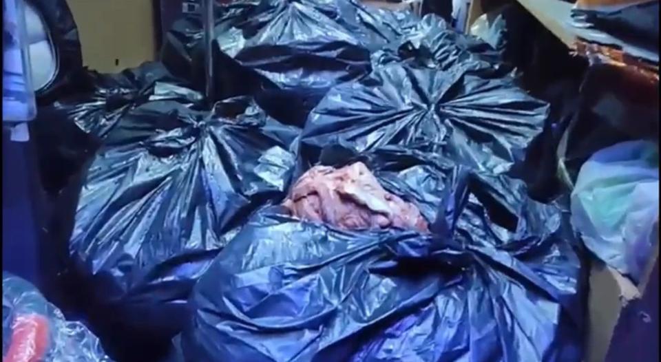 ADANA'DA KESİLEN 700 KİLOGRAM AT VE EŞEK ETİ SAKARYA'DA YAKALANDI İFTARDA İNSANLARA AT VE EŞEK ETİ YEDİRECEKLERDİ, YAKALANDILAR: 3 GÖZALTI
