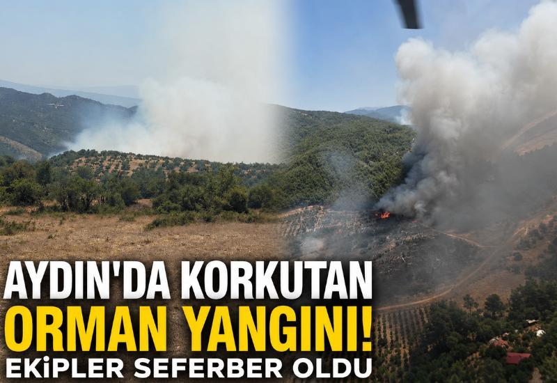 Aydın'da korkutan orman yangını! Ekipler seferber oldu