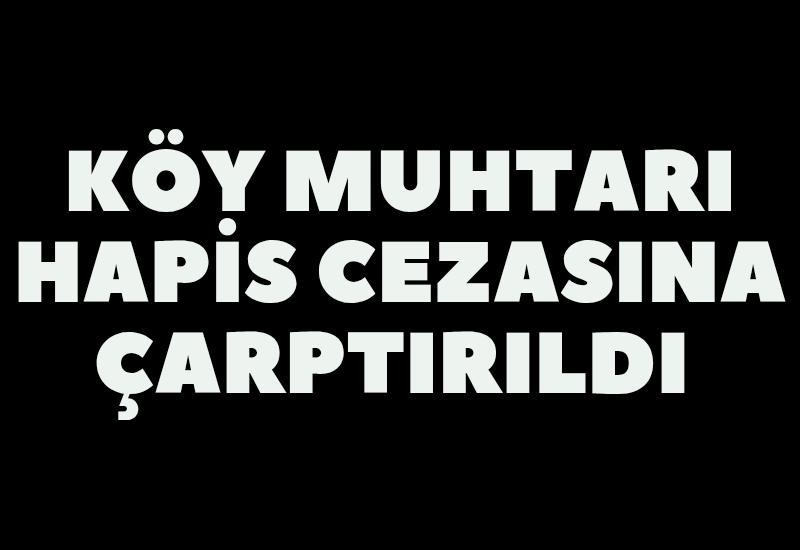 Köy muhtarı hapis cezasına çarptırıldı