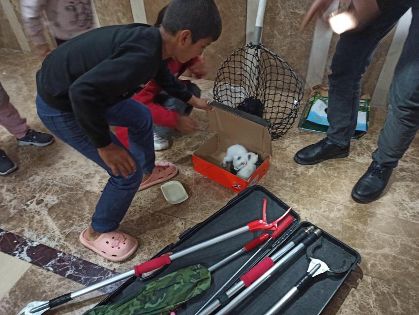 HAVALANDIRMA BOŞLUĞUNA GİREN YAVRU KEDİLER KURTARILDI ÇOCUKLARIN YAVRU KEDİ SEVİNCİ