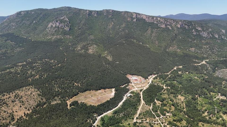 35 gündür kayıp olarak aranan üniversite öğrencisi ormanda ölü bulundu