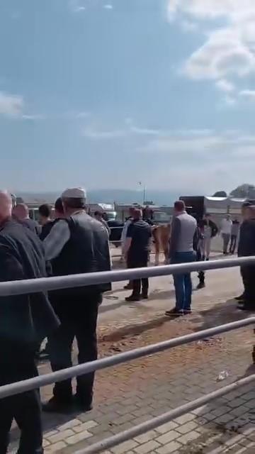 Kurban pazarında kavga: Jandarma havaya ateş açtı