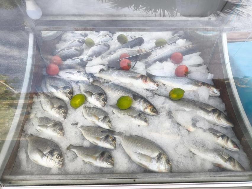 Söke’de 814 su ürün denetimi yapıldı