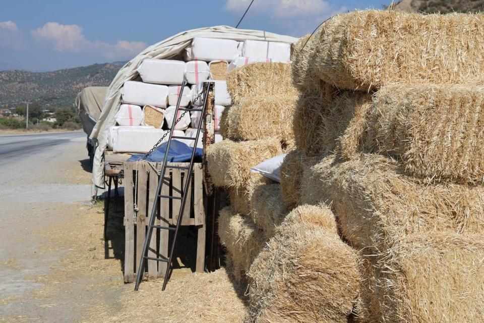Sürücüler dikkat! Aydın'da saman kazası tehlikesi artıyor