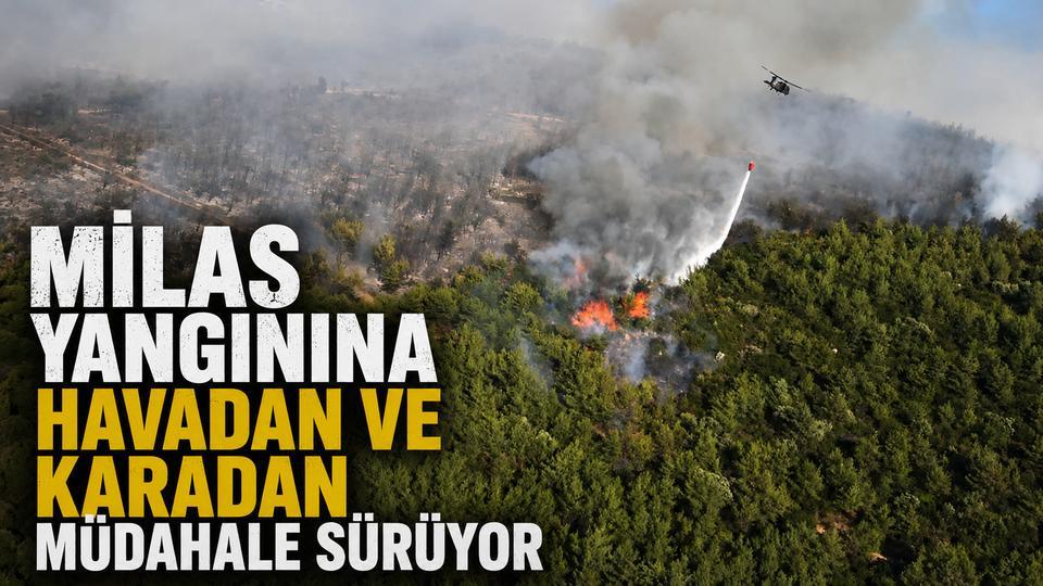 Milas yangınına havadan ve karadan müdahale sürüyor