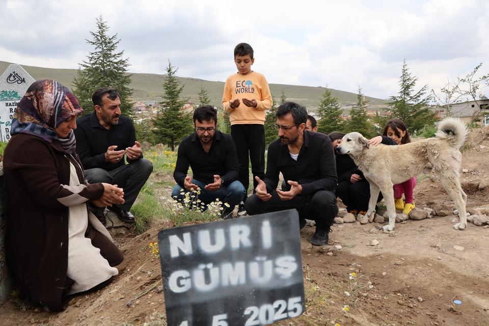 Ölen sahibinin mezarından ayrılmıyor