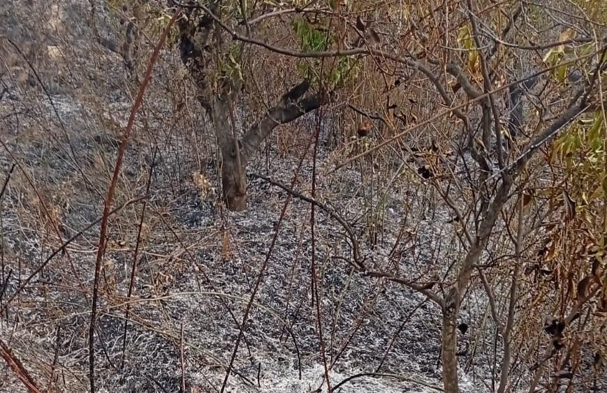 Bahçesini temizleyen adam yanarak can verdi