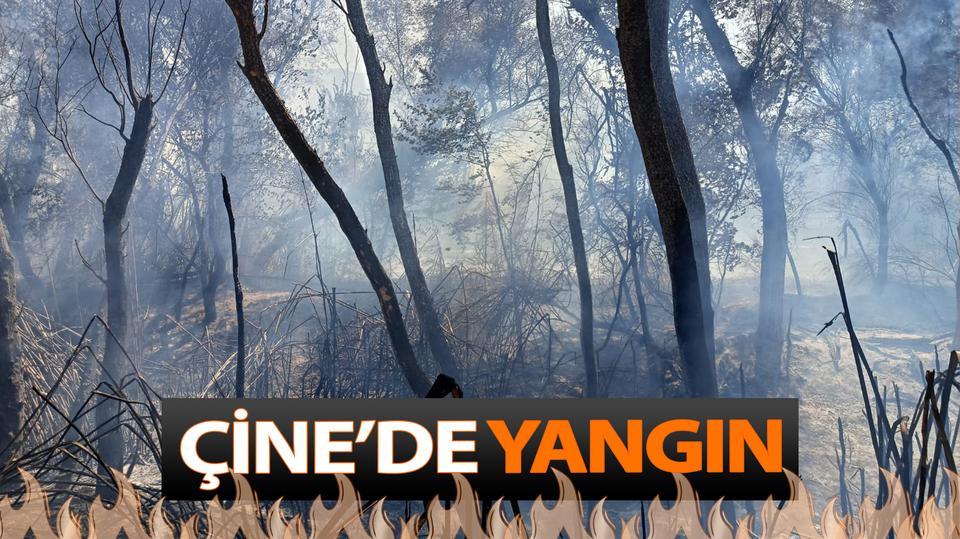 Çine'de yangın