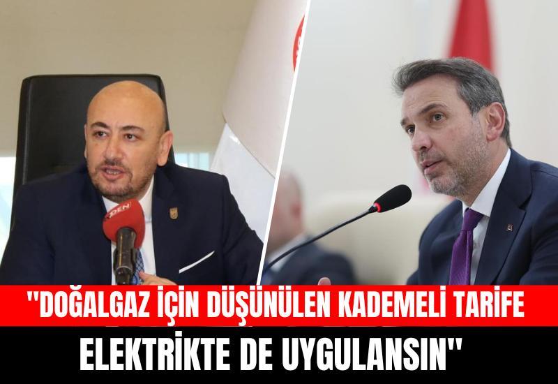 "Doğalgaz için düşünülen kademeli tarife elektrikte de uygulansın"