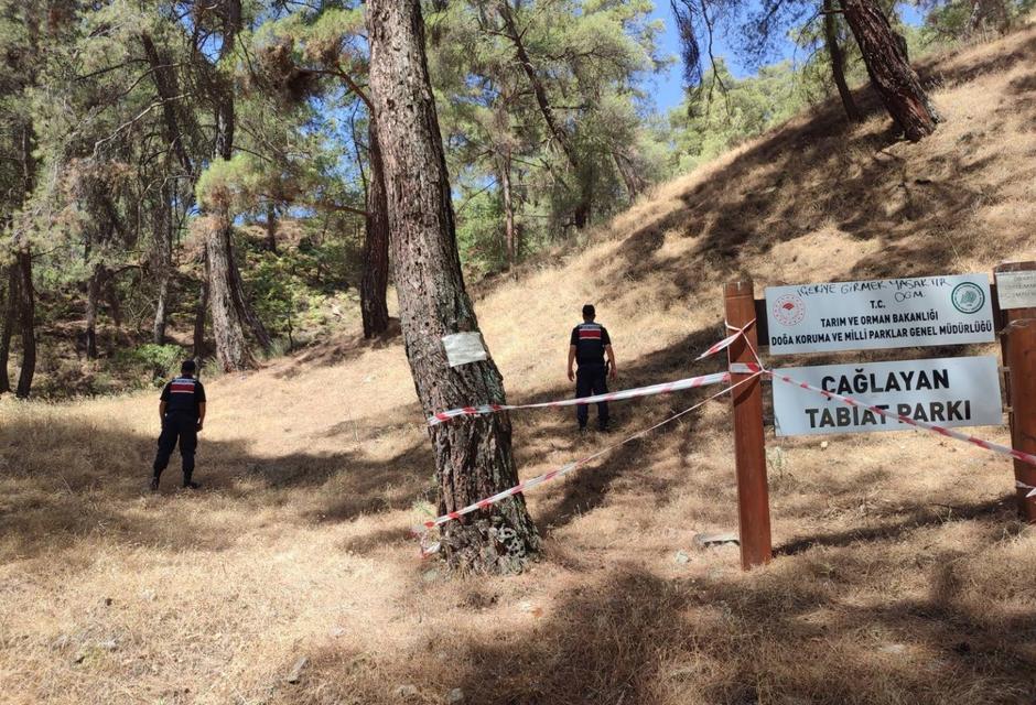 Aydın’da ormanlara giriş izne tabi oldu