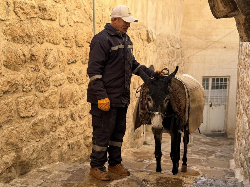 MARDİN'DE 'KADROLU' EŞEKLERİ EMEKLİ EDECEK PROJE HAYATA GEÇİYOR MARDİN'İN DAR SOKAKLARINDA ÇALIŞTIRILAN 'İŞÇİ EŞEKLERİN' YERİNİ PALETLİ ARAÇLAR ALACAK BİR BİR 'EMEKLİ' EDİLMESİ PLANLANAN BELEDİYENİN KADROLU EŞEKLERİ, EMEKLİ HAYVAN ÇİFTLİĞİNDE 'EMEKLİLİĞİN' TADINI ÇIKARACAK