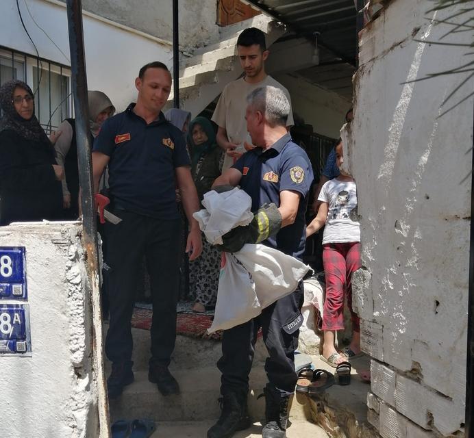 Aydın’da yılan operasyonu