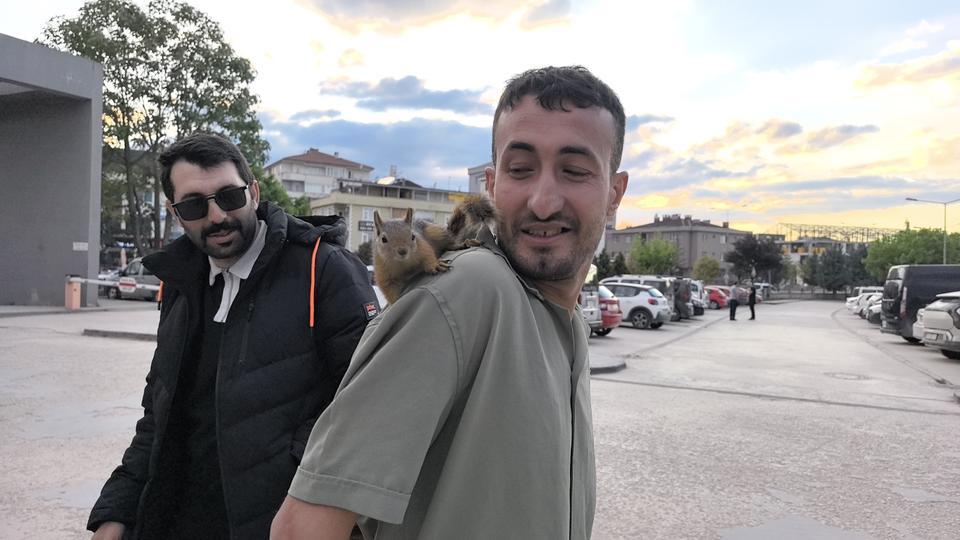ELİYLE BESLEDİĞİ SİNCAP, PEŞİNİ BIRAKMADI YAKLAŞIK 4 AYDIR PEŞİNDEN AYRILMAYAN SİNCAPLA YAŞIYOR