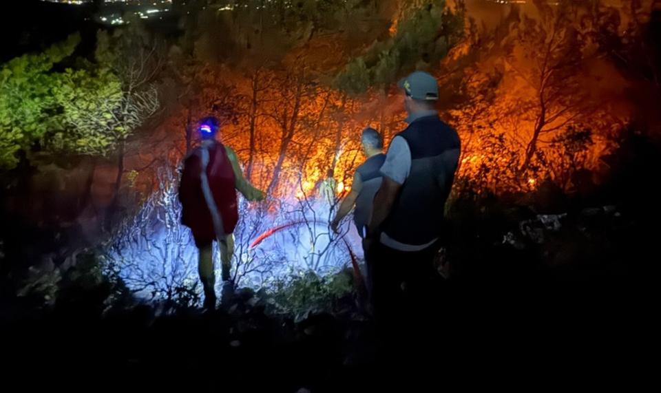 Söke'deki orman yangınının yayılması durduruldu