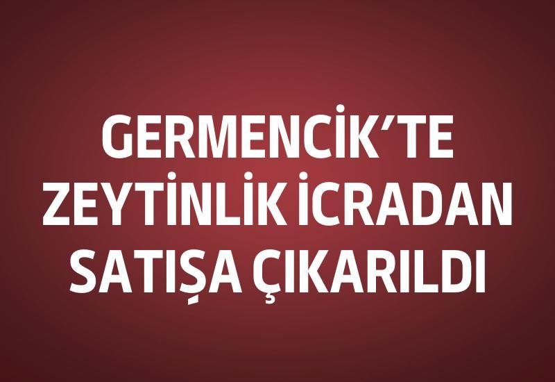 Germencik’te zeytinlik icradan satışa çıkarıldı
