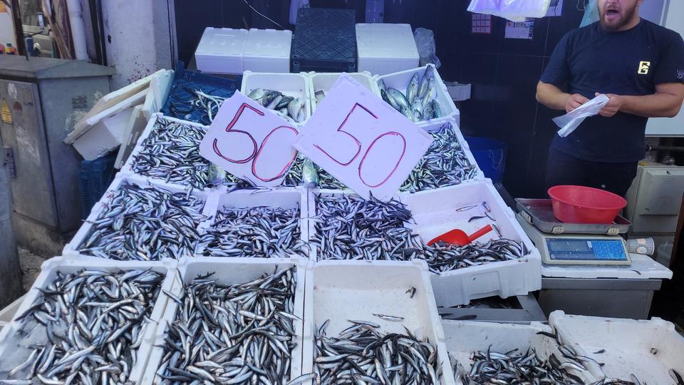 Hamsi tezgahları doldurdu: Kilosu 50 lira