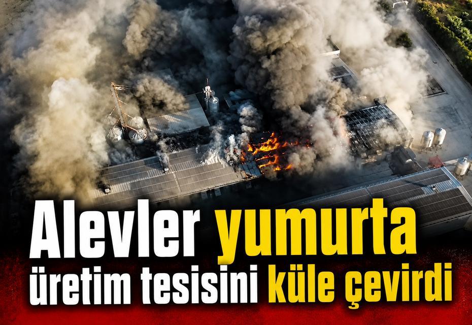 Alevler yumurta üretim tesisini küle çevirdi