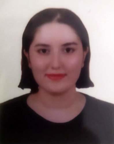 İZMİR'DE 2 KİŞİNİN ÖLDÜĞÜ ELEKTRİK AKIMI OLAYINDA KEŞİF YAPILIYOR FACİANIN GERÇEKLEŞTİĞİ YERDEKİ MAZGALLARIN ÇEVRESİ KAZILDI YURT DIŞINDAN GELEN TANIK OLAY YERİNDE İFADE VERDİ