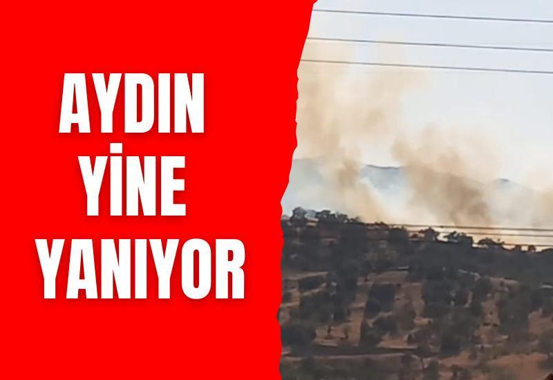 Aydın yine yanıyor