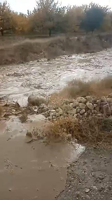 Şiddetli yağmur nedeniyle dereler taştı