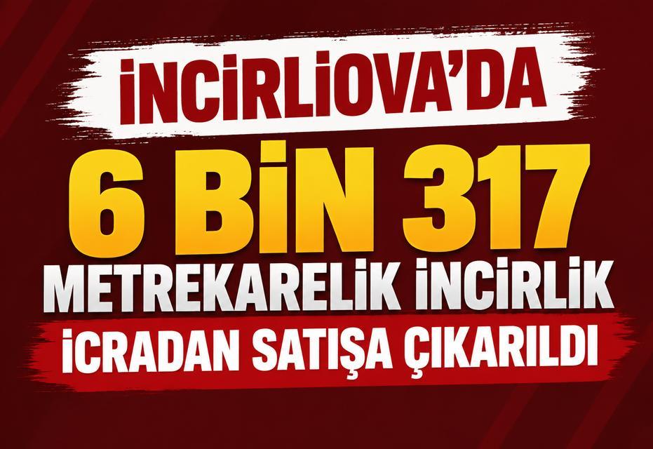 İncirliova’da 6 bin 317 metrekarelik incirlik icradan satışa çıkarıldı
