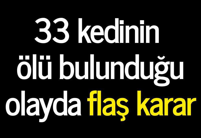 33 kedinin ölü bulunduğu olayda flaş karar