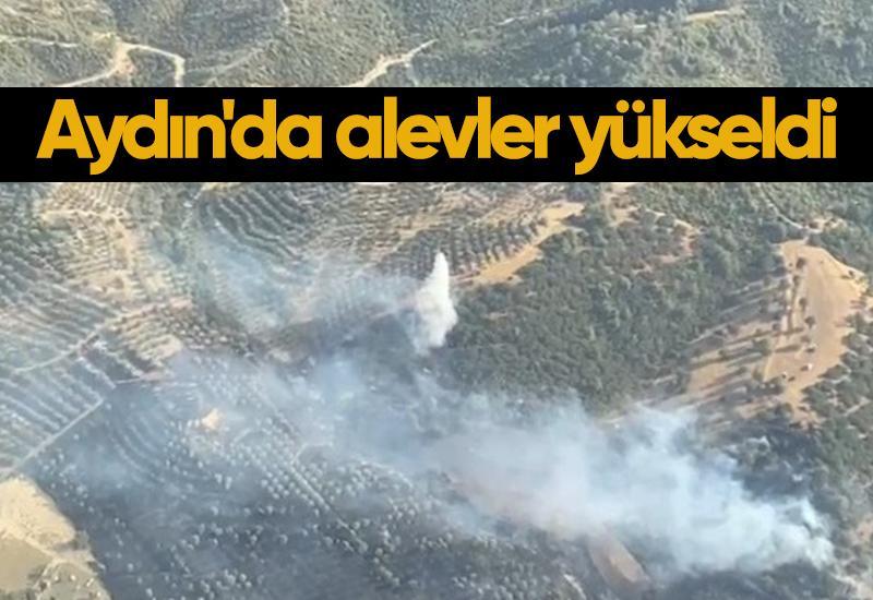 Aydın'da alevler yükseldi