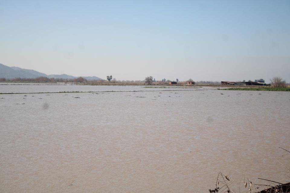 MENDERES TAŞTI, YÜZLERCE DÖNÜM SULAR ALTINDA KALDI