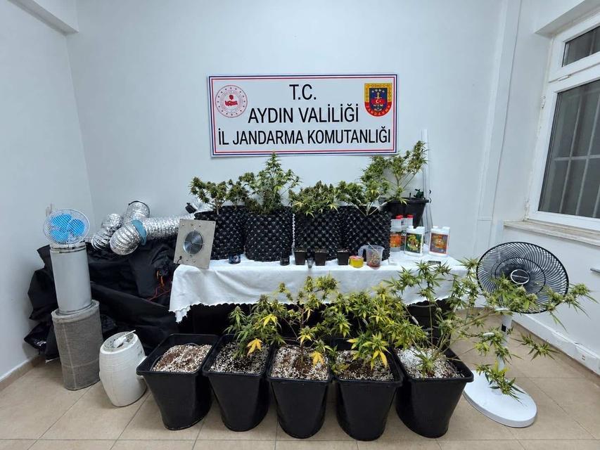 Aydın’da o eve baskın: İklimlendirme çadırında skunk yetiştirmiş